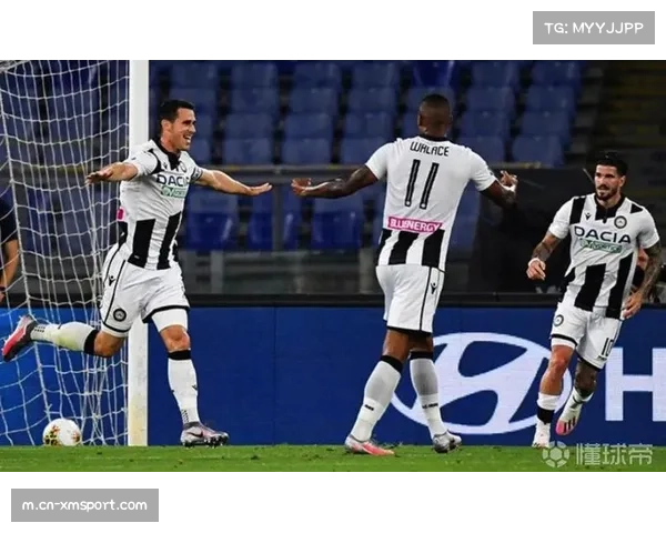 乌迪内斯新球场建设计划获市议会初步通过